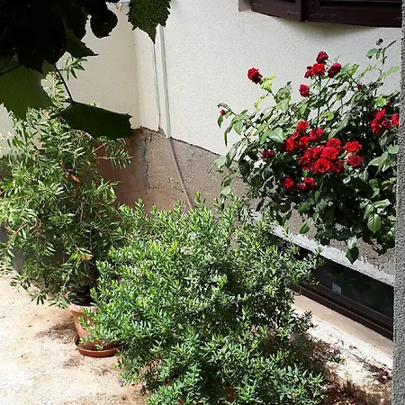 And Zvjezdana Apartman Hvar Town