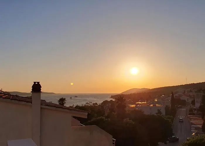 And Zvjezdana هفار