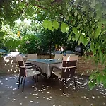 And Zvjezdana * 赫瓦尔