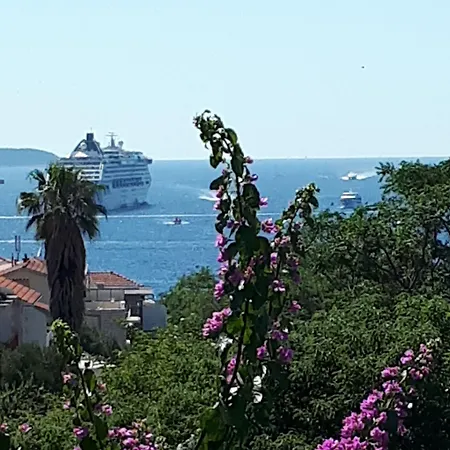 아파트 And Zvjezdana *